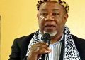 We Are Not Fire Extinguishers, Mokoena Unleash Fury: Government Only Calls Chiefs When Chaos Erupts