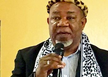 We Are Not Fire Extinguishers, Mokoena Unleash Fury: Government Only Calls Chiefs When Chaos Erupts