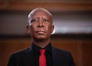 Long-Running Allegations Against Malema Draw Fresh Attention