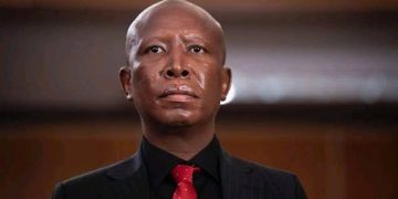 Long-Running Allegations Against Malema Draw Fresh Attention