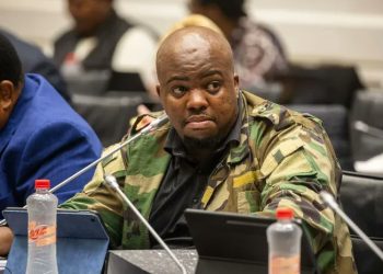 Nomvalo Has Called On Gen. Mkhwanazi To deploy The PKTT To Mzimkhulu To Protect Him & MKP