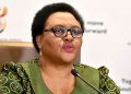 Parties push for Speaker Didiza to recuse herself from Phala Phala process