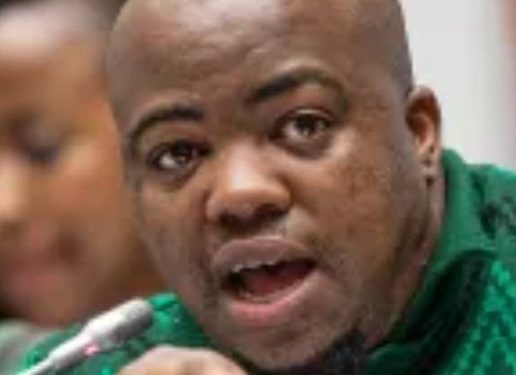 ”MK Party Has Never Had a Strong Secretary-General” Says Ndhlela as He Mentions Floyd Shivambu