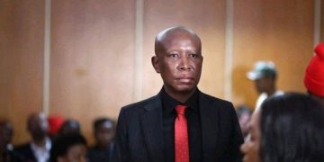 Malema Under Fire Again: Karyn Maughan Says New Claims Could Tighten The Noose Around EFF Leader