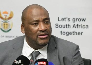 “Ramaphosa Was The First To Listen To Us When We Said We Don’t Want Undocumented Foreigners”, McKenzie Say