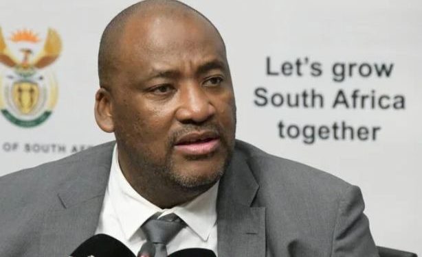 “Ramaphosa Was The First To Listen To Us When We Said We Don’t Want Undocumented Foreigners”, McKenzie Say