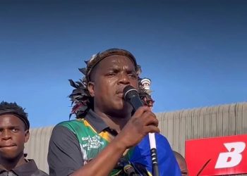 Ngizwe Mchunu Criticises Jacinta Ngobese-Zuma and Phakelumthakathi Over Political Party Links