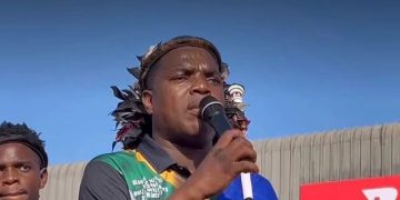 Ngizwe Mchunu Criticises Jacinta Ngobese-Zuma and Phakelumthakathi Over Political Party Links