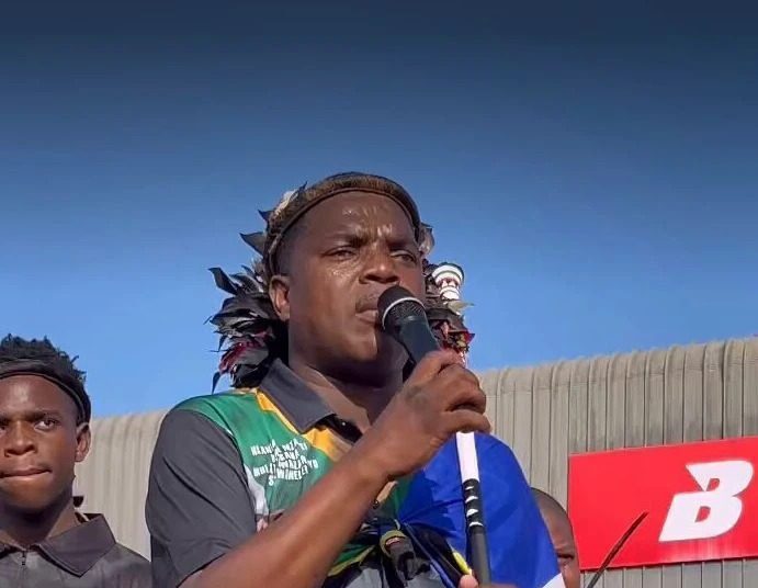 Ngizwe Mchunu Criticises Jacinta Ngobese-Zuma and Phakelumthakathi Over Political Party Links