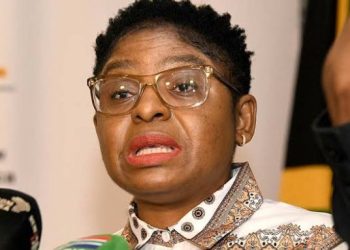 “There Is No Government That’s Going To Create Employment” Minister Ntshavheni Hit Out