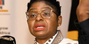 “There Is No Government That’s Going To Create Employment” Minister Ntshavheni Hit Out