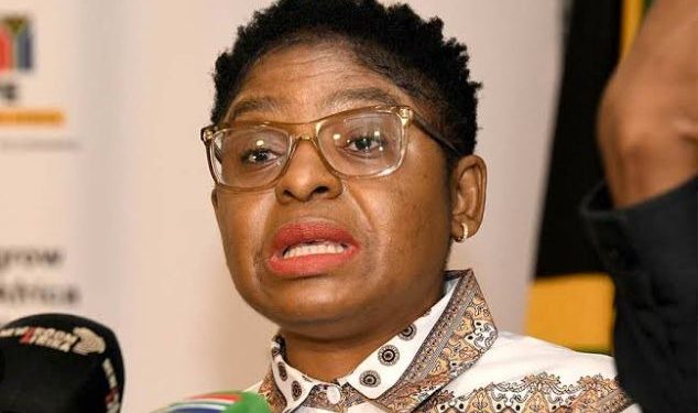 “There Is No Government That’s Going To Create Employment” Minister Ntshavheni Hit Out