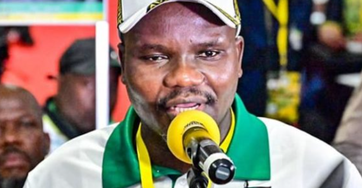 Ntuli Has Revealed Why He Was Left Off ANC’s Phala Phala Impeachment Committee