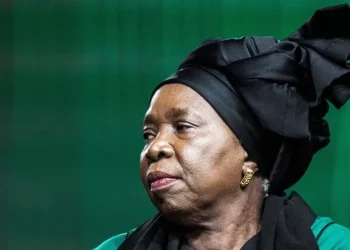 Dlamini-Zuma warns anti foreigner violence could damage South Africa’s tourism sector