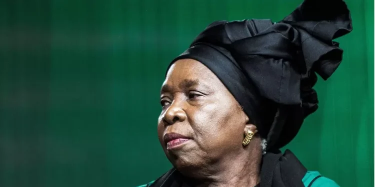 Dlamini-Zuma warns anti foreigner violence could damage South Africa’s tourism sector