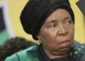 Zuma Accused of Using State Resources to Influence ANC Leadership Race