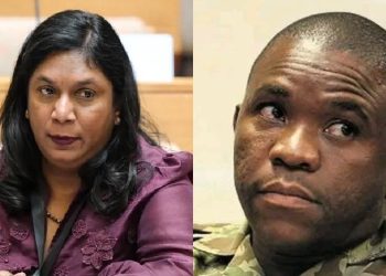 “Rogue IDAC is planning to arrest Lt general Mkhwanazi” Acting Police minister confirms