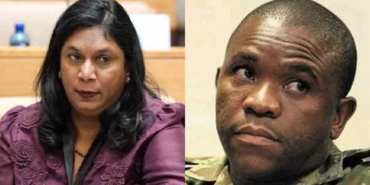 “Rogue IDAC is planning to arrest Lt general Mkhwanazi” Acting Police minister confirms