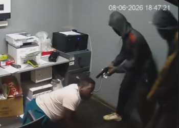 Watch: Armed robbers storm bakery offices in Limpopo