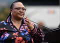 Ramaphosa and Mbalula Accused of Sacrificing Didiza as Political Pressure Mounts