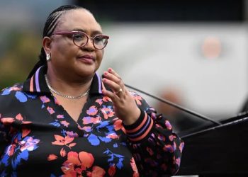Ramaphosa and Mbalula Accused of Sacrificing Didiza as Political Pressure Mounts