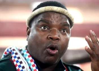 Ngizwe Mchunu brands Buthelezi unfaithful in war of words over Zulu regiments