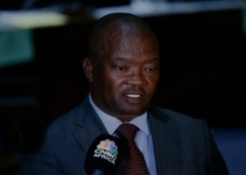 Holomisa Warns South Africans and Says They Must Prepare for Ramaphosa to Step Down