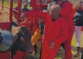Julius Malema’s Calf Feeding Video Gets South Africans Talking