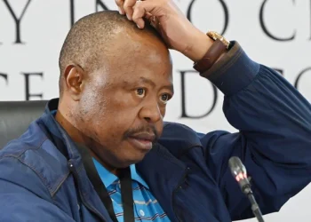 Gauteng traffic chief Mashaba admits taking money from police informant