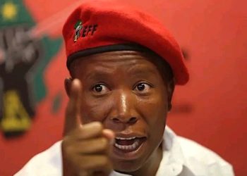 If Malema Is Called To Testify Before The Commission, He Will Spin The Narrative Micah Reddy Says