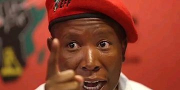 If Malema Is Called To Testify Before The Commission, He Will Spin The Narrative Micah Reddy Says