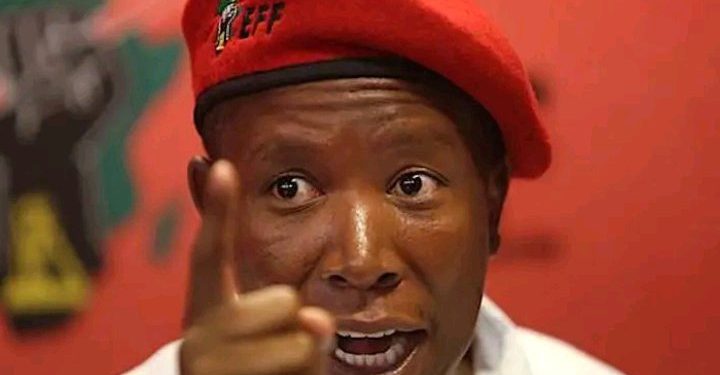 If Malema Is Called To Testify Before The Commission, He Will Spin The Narrative Micah Reddy Says