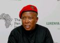 Julius Malema predicted to face jail after commission evidence