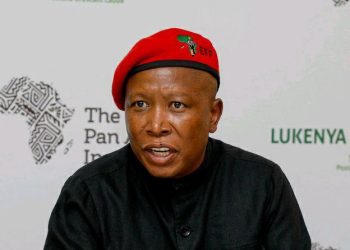 Julius Malema predicted to face jail after commission evidence