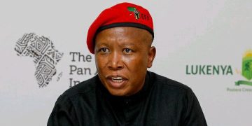 Julius Malema predicted to face jail after commission evidence