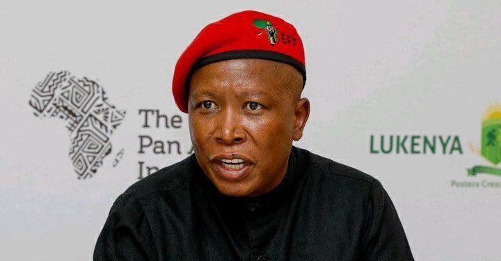 Julius Malema predicted to face jail after commission evidence