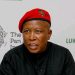 Julius Malema predicted to face jail after commission evidence