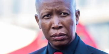 Julius Malema Finally Names the Activists He Blames for Spreading Division & Fear Against Foreigners