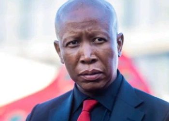 Julius Malema Finally Names the Activists He Blames for Spreading Division & Fear Against Foreigners