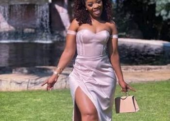 Jacinta Ngobese Puts Khan on the Spot Over Pakistani Association’s Police Escort
