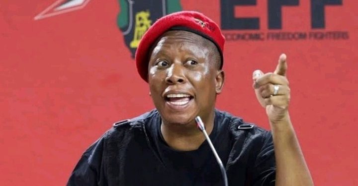 Malema Speaks On South Africans Who Are Attacking Foreign Nationals