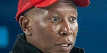 We Rather Stay With The ANC Because It Services Everyone And Honors Its Obligations Malema Declared