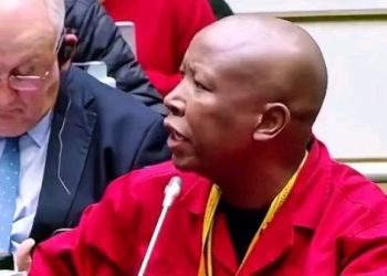 Julius Malema Has Finally Broken Silence After Shongwe’s Madlanga Commission Claims