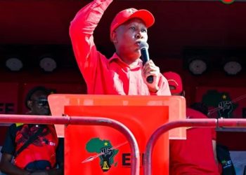 Julius Malema Rallies EFF Against ANC Helicopter in Limpopo in Video
