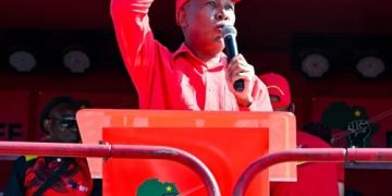 Julius Malema Rallies EFF Against ANC Helicopter in Limpopo in Video