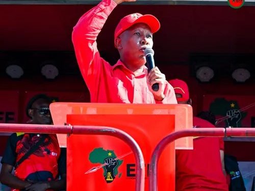 Julius Malema Rallies EFF Against ANC Helicopter in Limpopo in Video