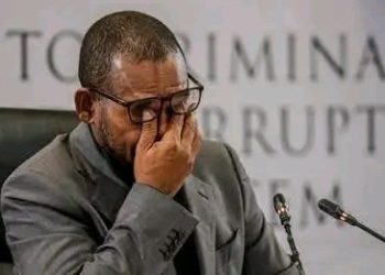 How Fadiel Adams Reacted When Madlanga Commission Played an Audio Exposing His Discussion With IDAC