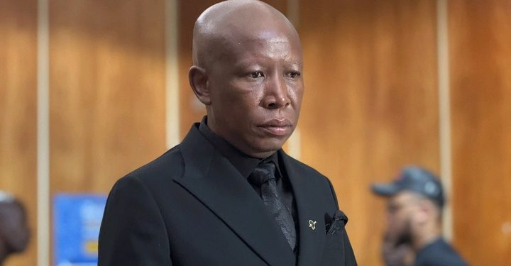‘He’s Not Going to Choose His Own Judge’ Malema Leads Pushback Against Ramaphosa Over Madonsela