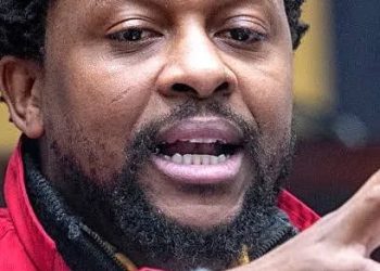 Ndlozi Blows The Whistle on Malema & Ian Cameron’s Alleged Hidden Agenda