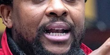 Ndlozi Blows The Whistle on Malema & Ian Cameron’s Alleged Hidden Agenda